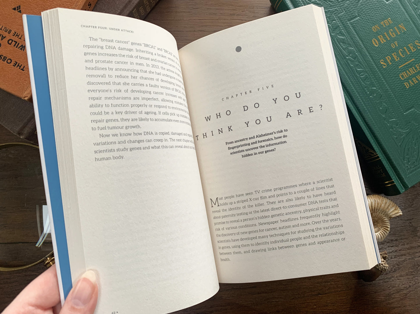 DNA: The Compact Guide by Kat Arney