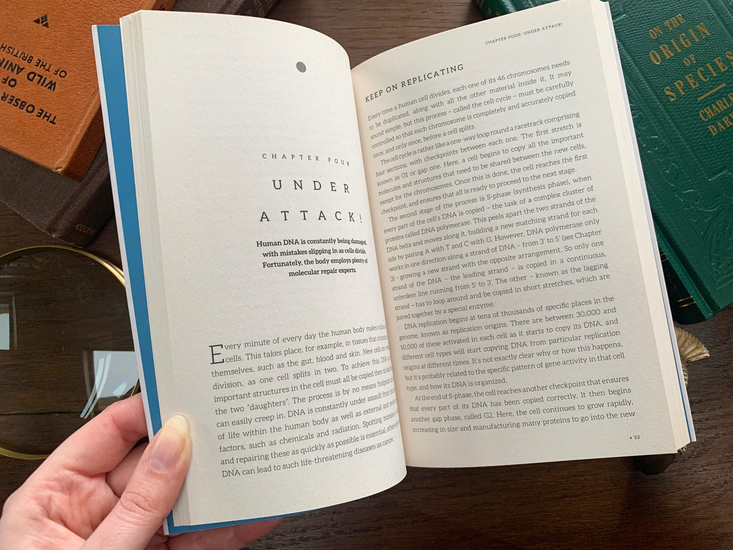 DNA: The Compact Guide by Kat Arney