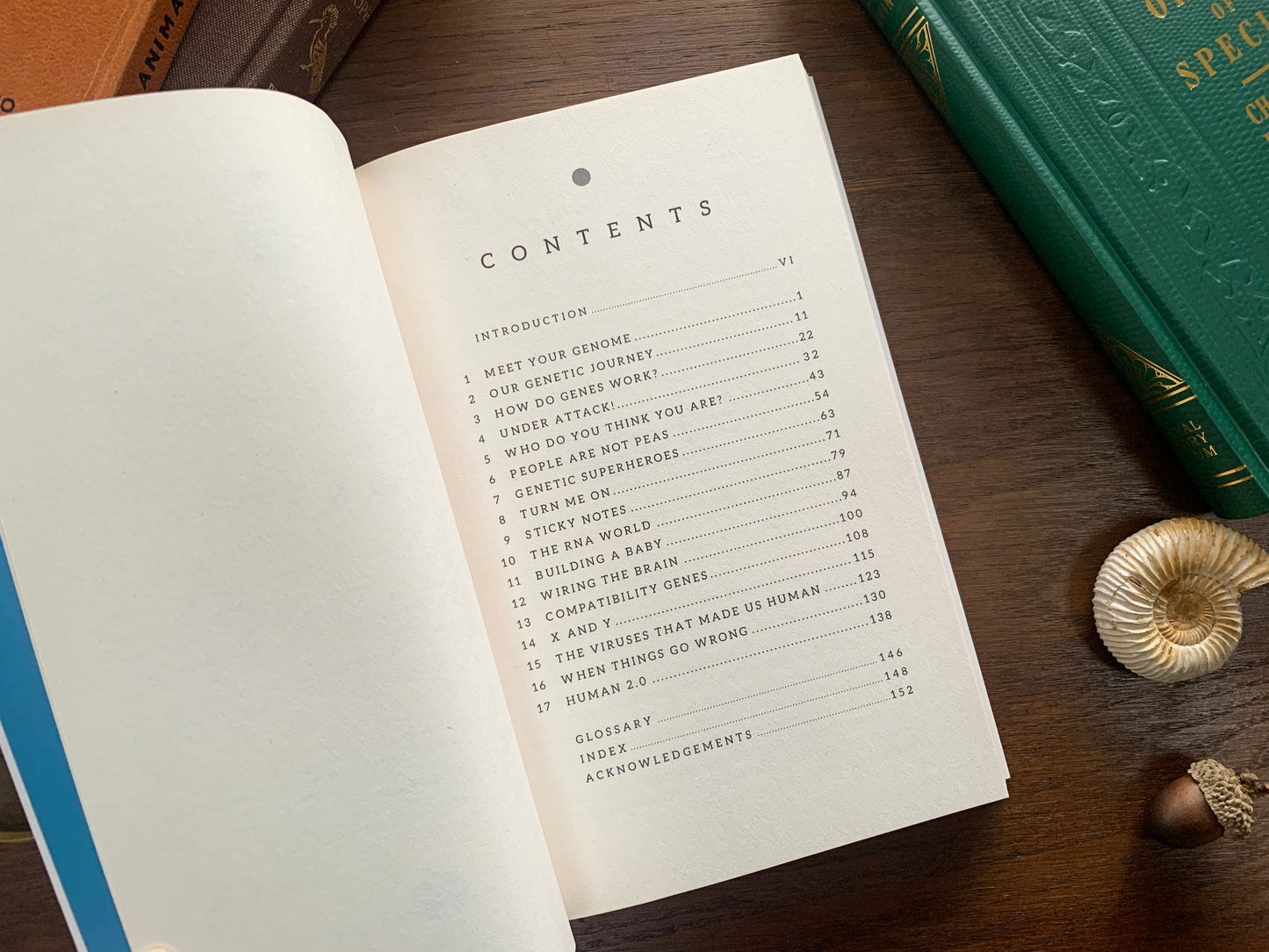 DNA: The Compact Guide by Kat Arney