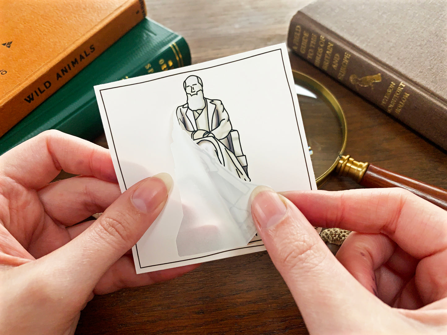 Charles Darwin Statue Sticker