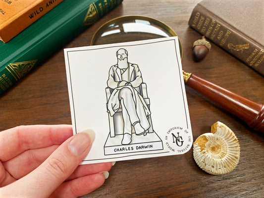 Charles Darwin Statue Sticker