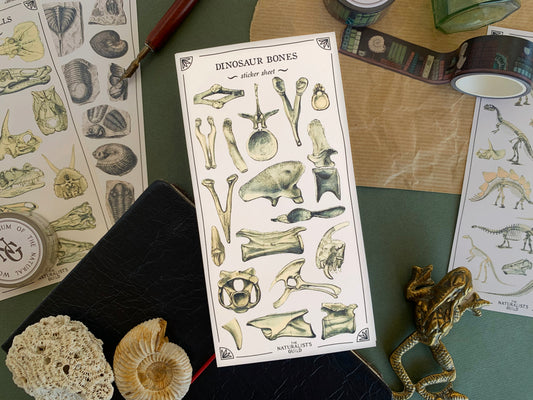 Dinosaur Bones Sticker Sheet