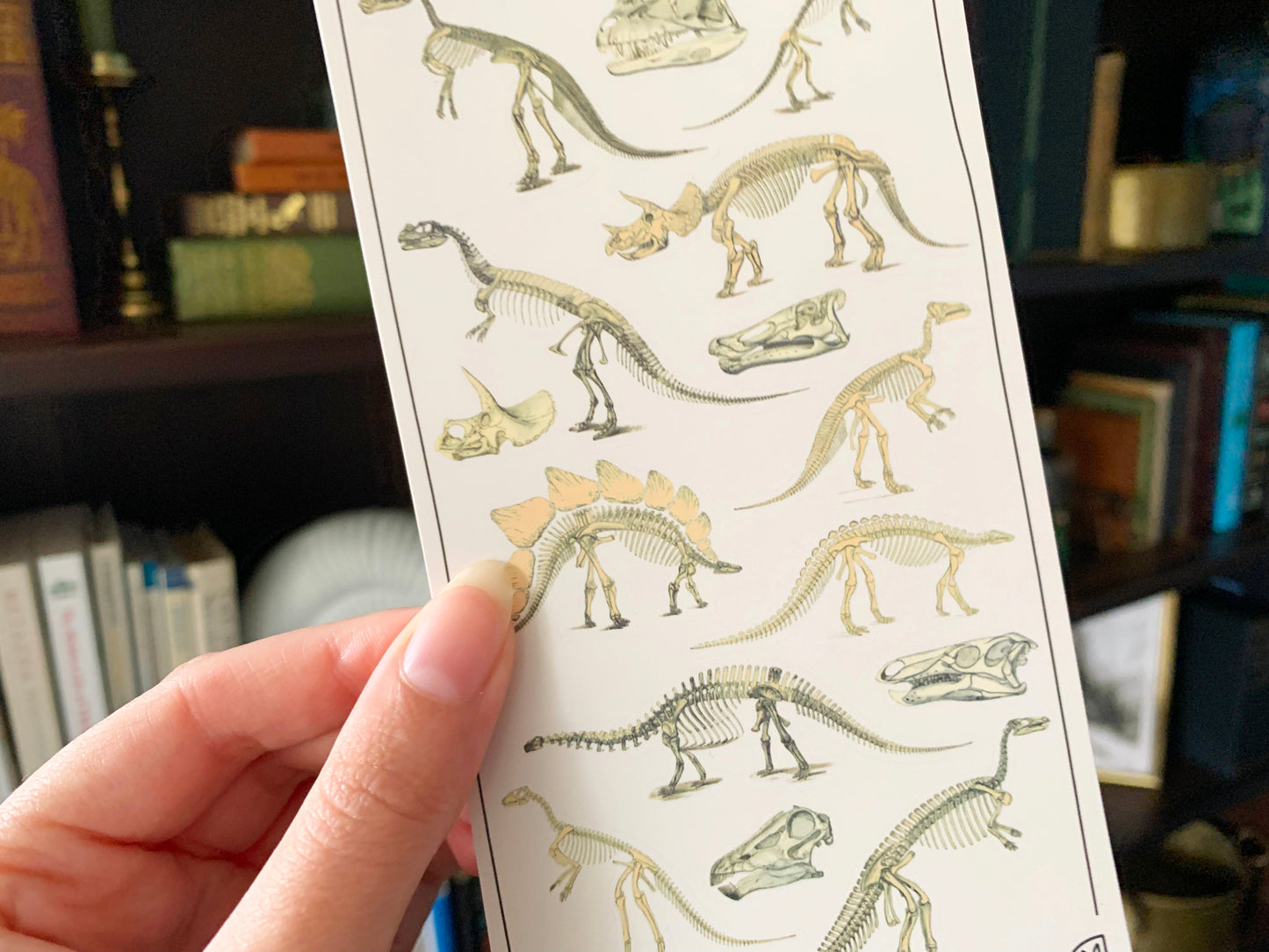 Dinosaur Skeletons Sticker Sheet