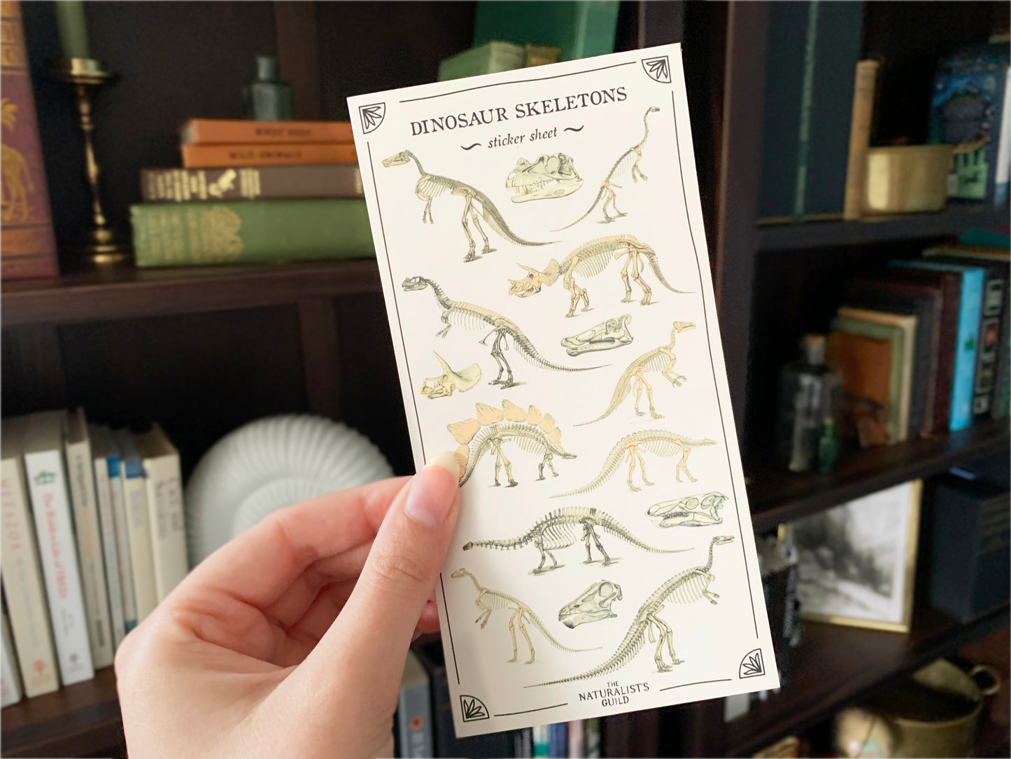Dinosaur Skeletons Sticker Sheet