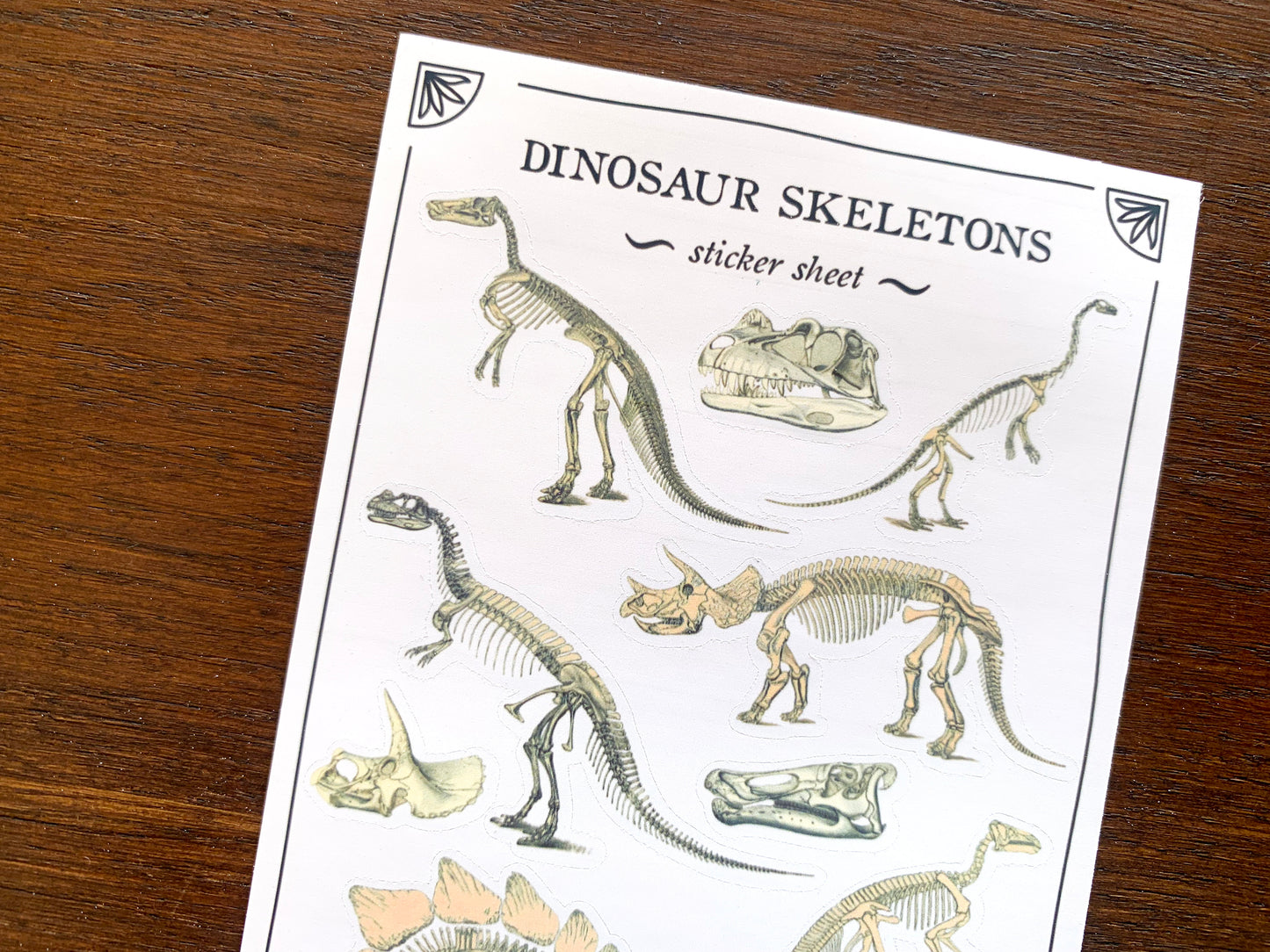 Dinosaur Skeletons Sticker Sheet