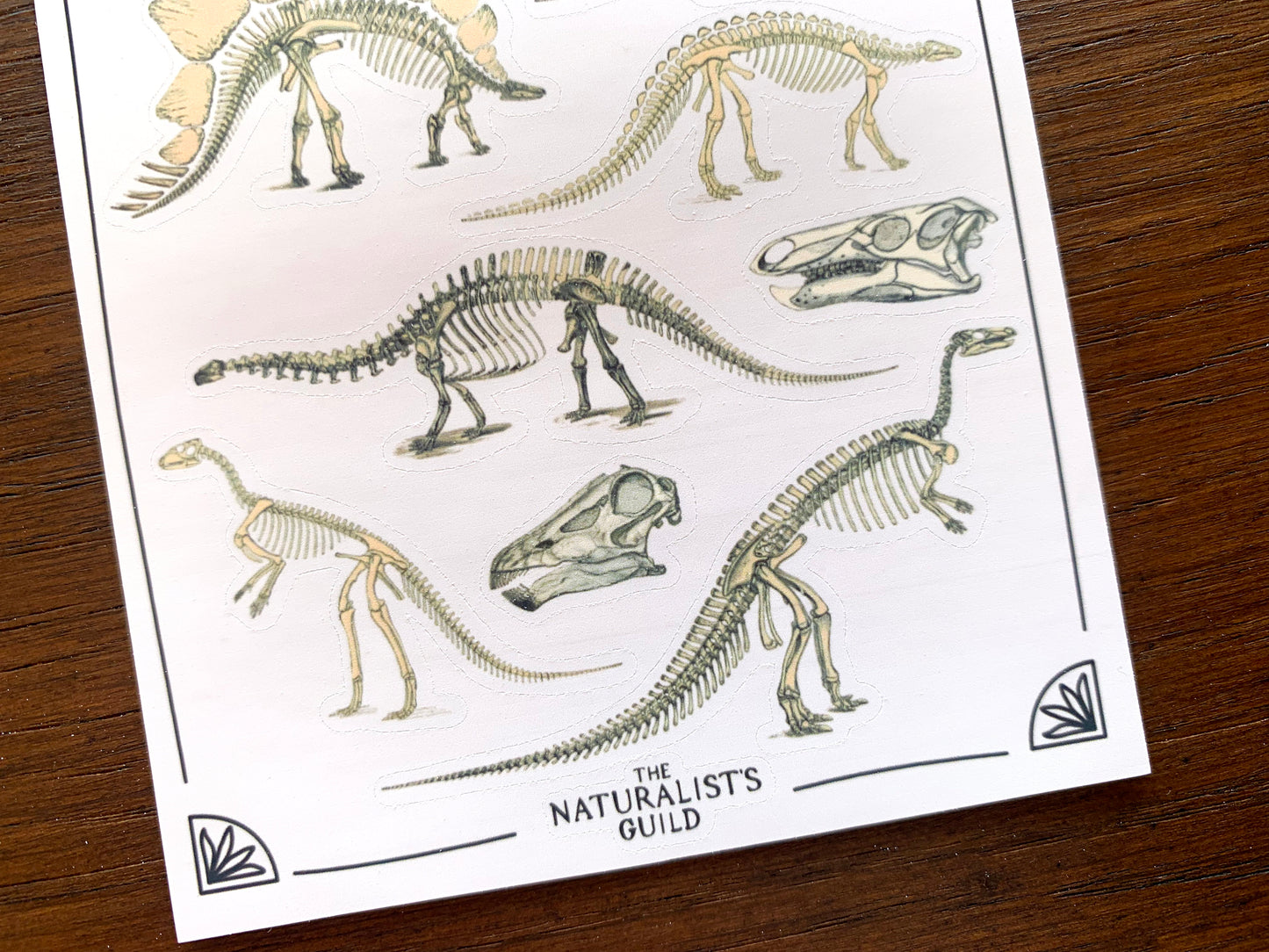 Dinosaur Skeletons Sticker Sheet