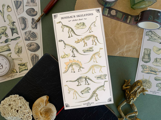 Dinosaur Skeletons Sticker Sheet