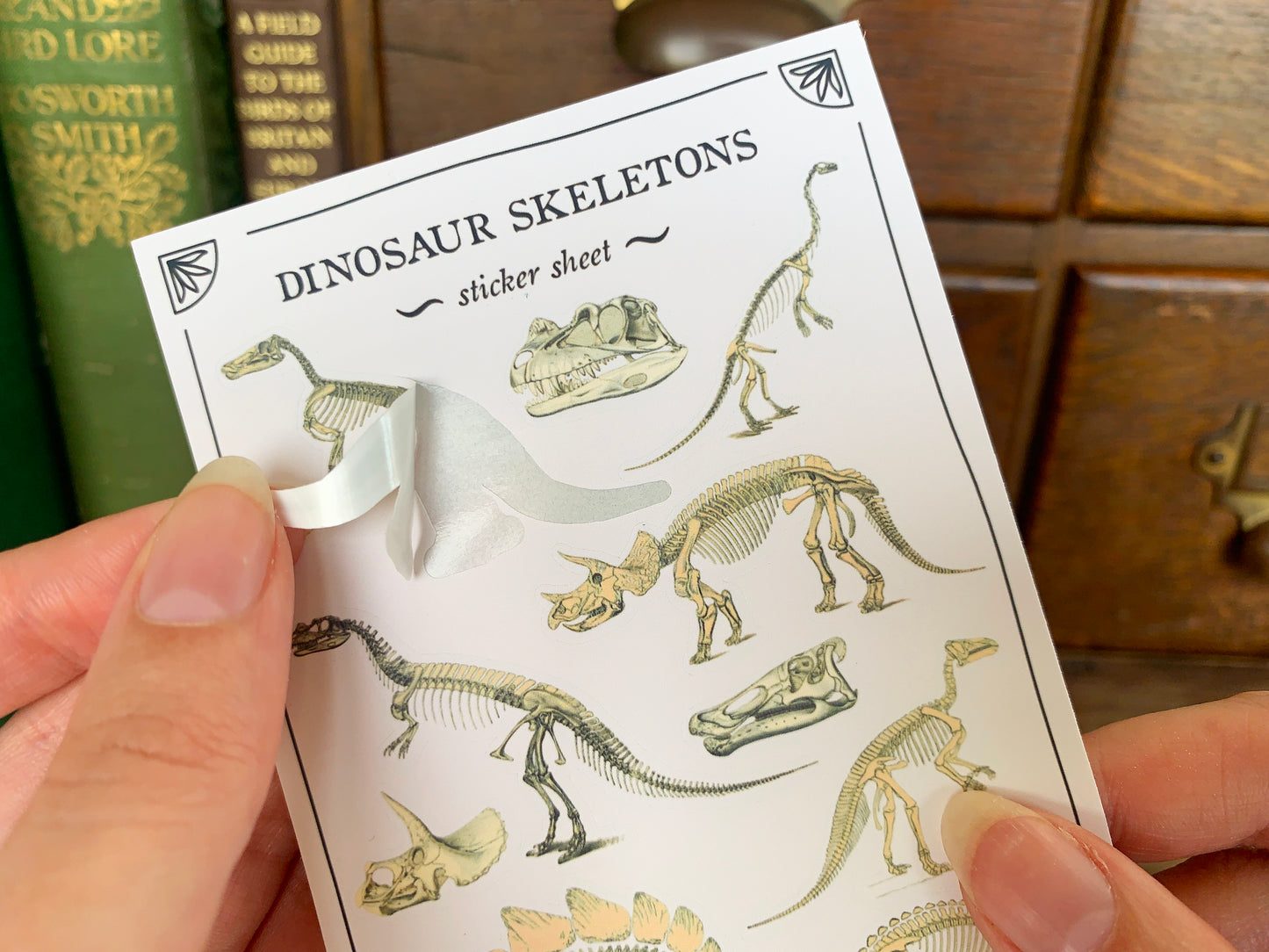 Dinosaur Skeletons Sticker Sheet