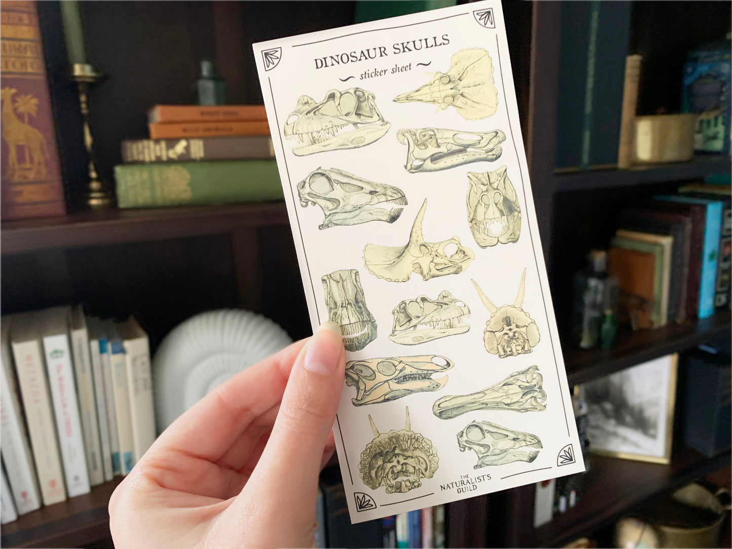 Dinosaur Skulls Sticker Sheet