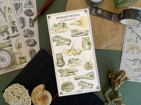 Dinosaur Skulls Sticker Sheet