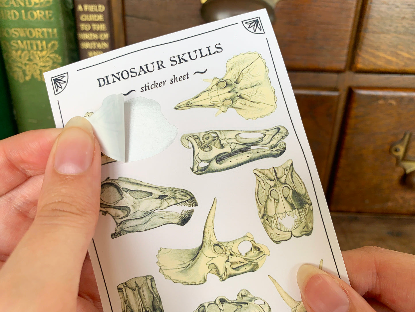 Dinosaur Skulls Sticker Sheet