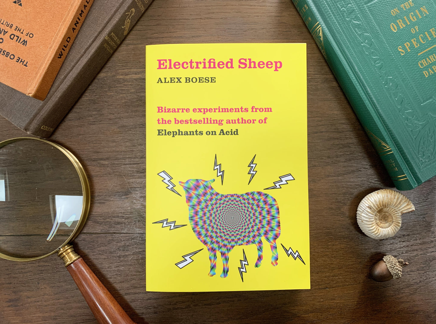 Electrified Sheep by Alex Boese