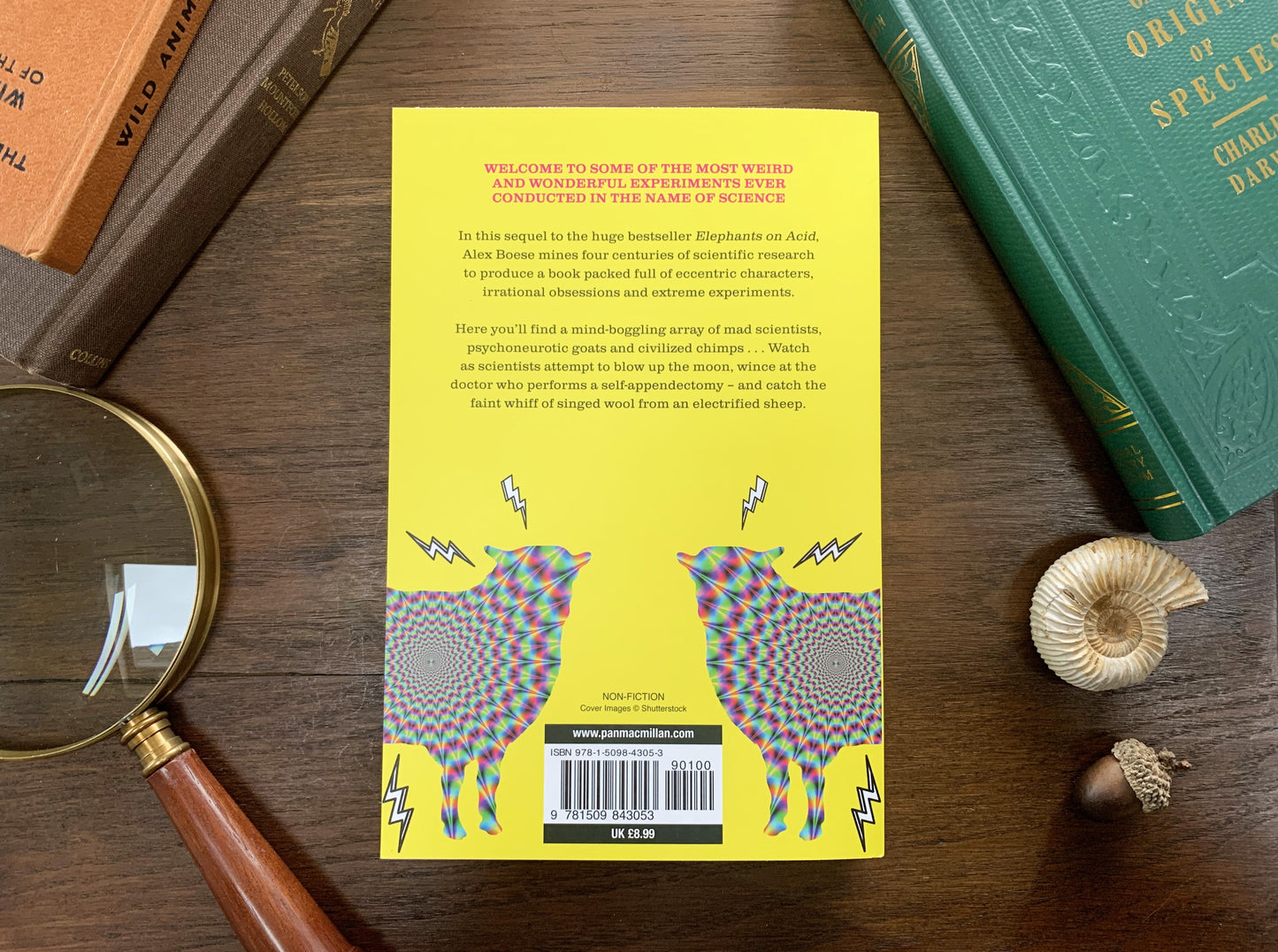 Electrified Sheep by Alex Boese