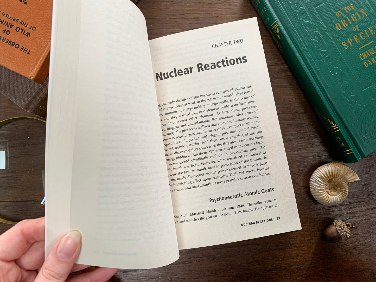 Electrified Sheep by Alex Boese