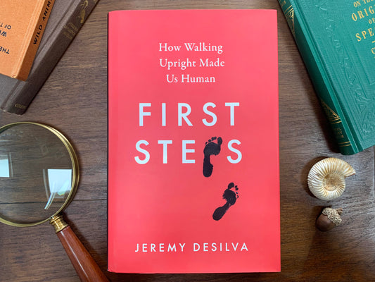 First Steps: How Walking Upright Made Us Human by Jeremy DeSilva