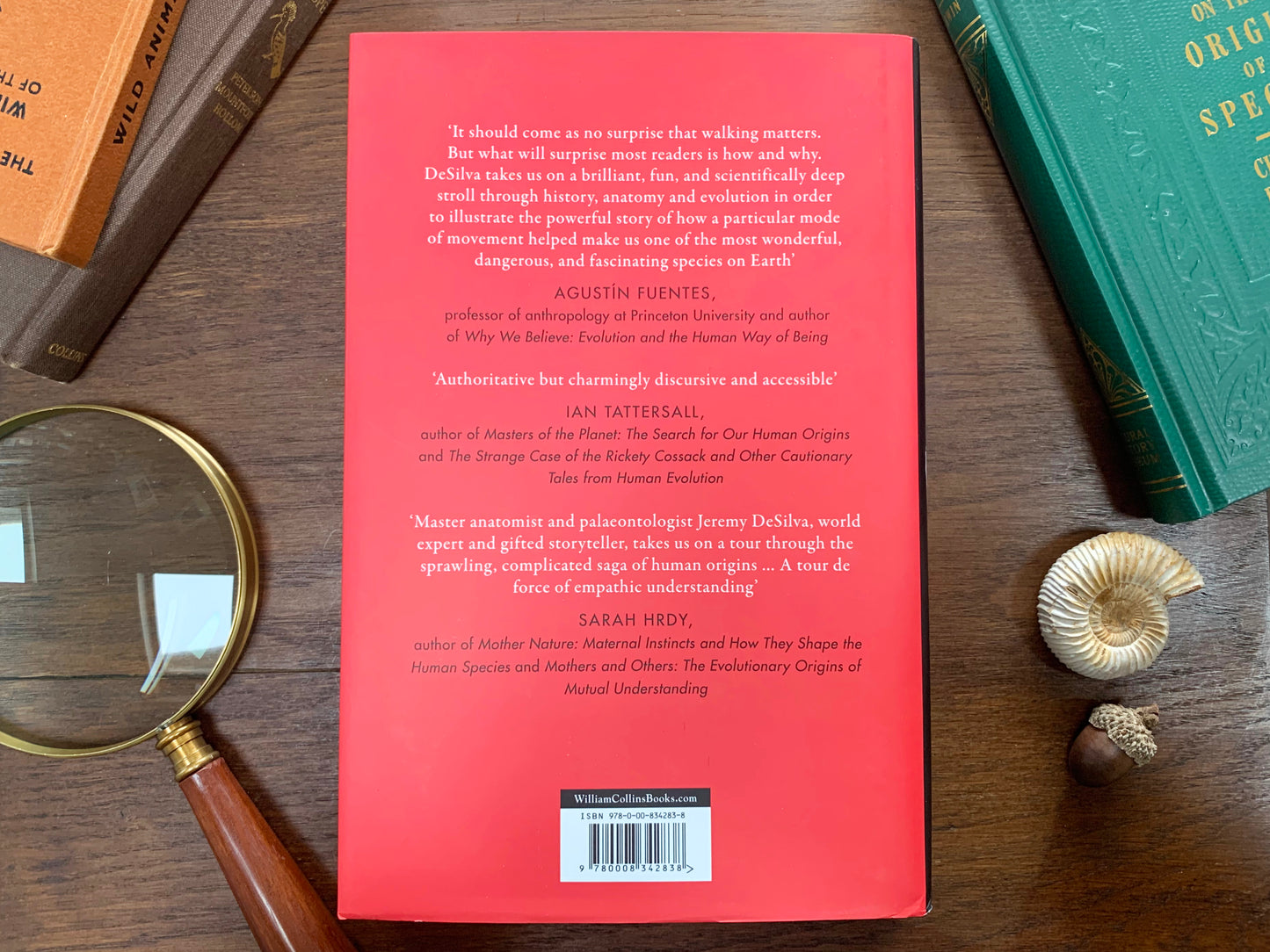 First Steps: How Walking Upright Made Us Human by Jeremy DeSilva