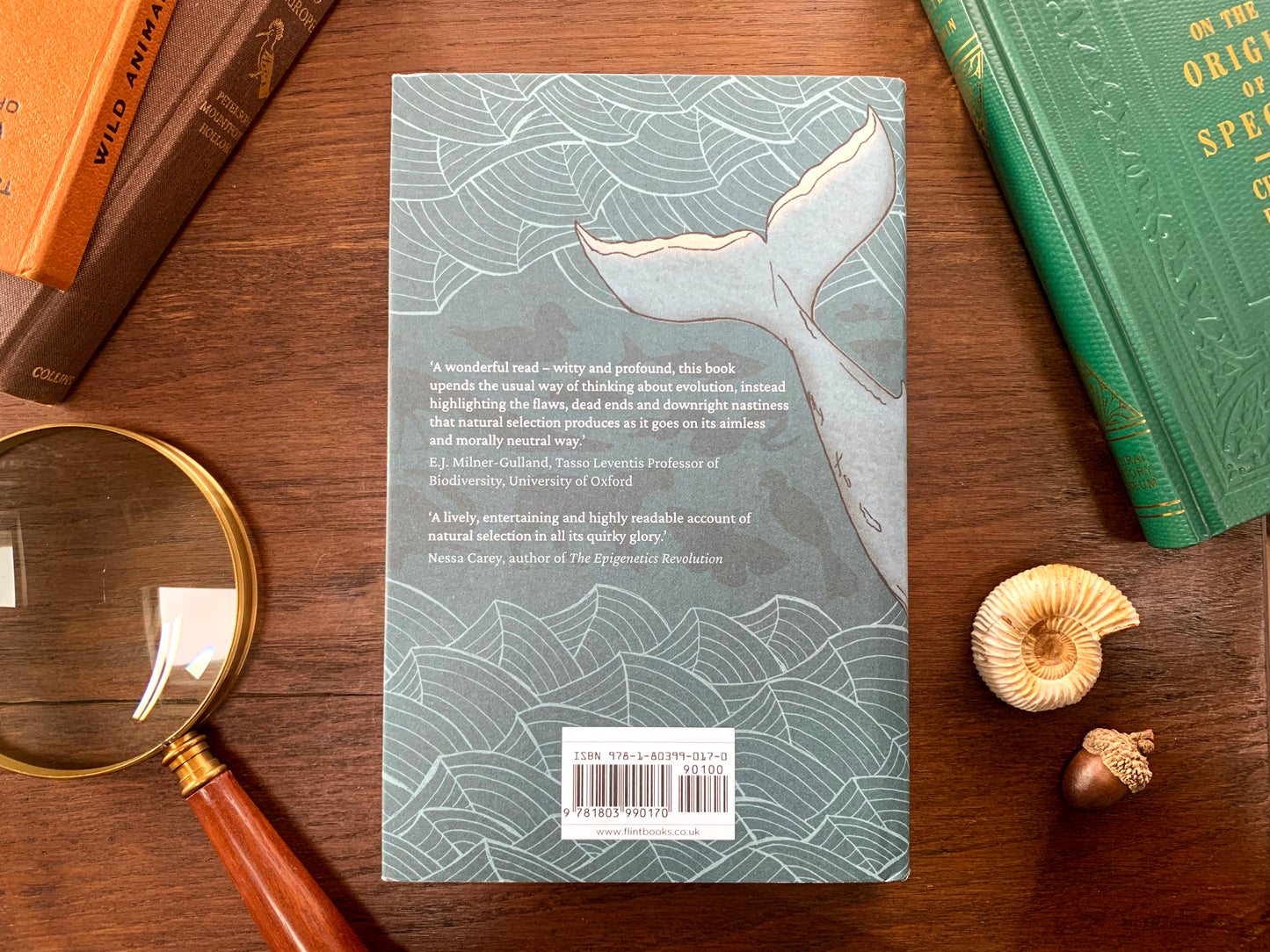 Flaws of Nature by Andy Dobson