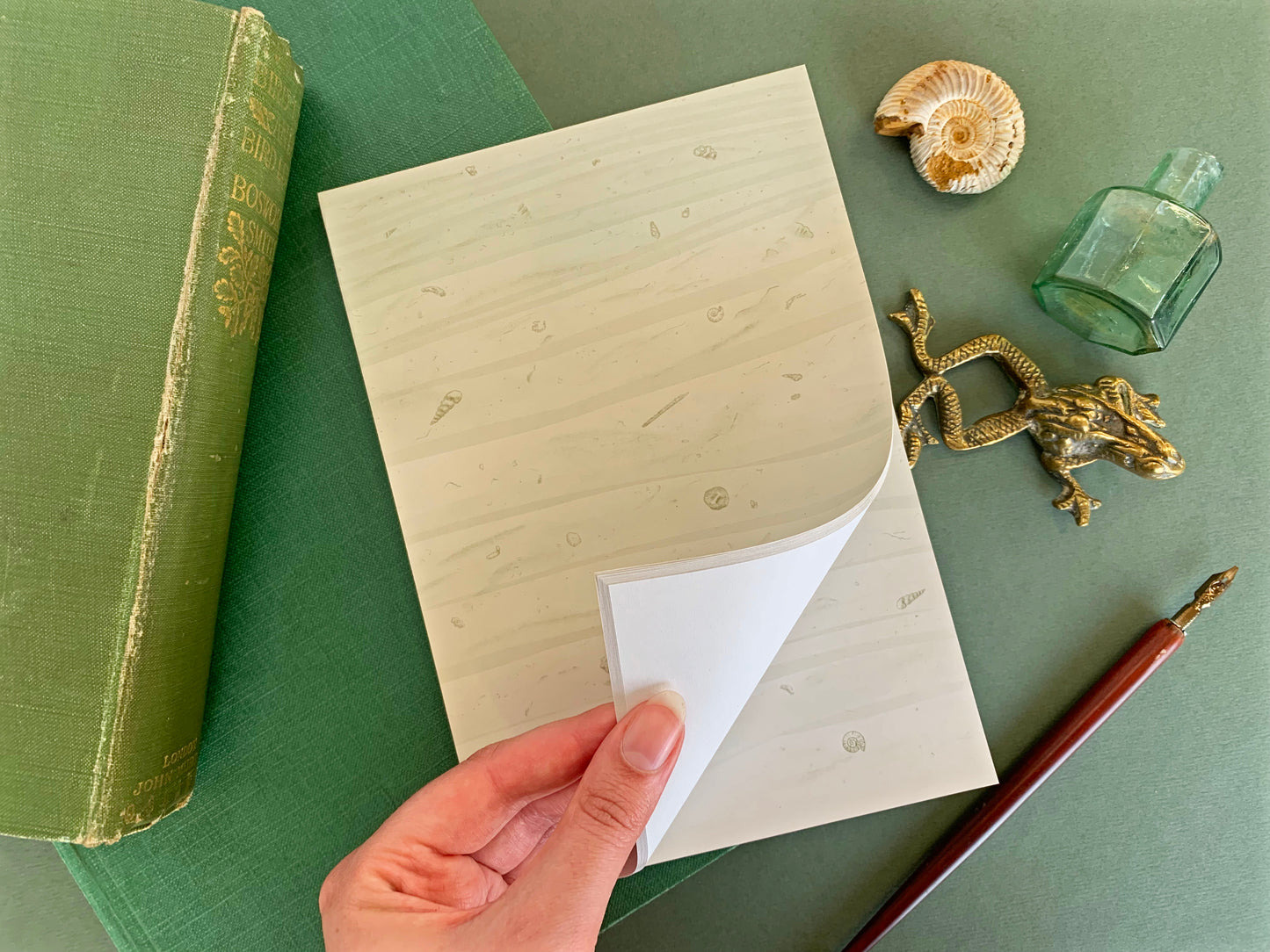 Fossil Rock Notepad