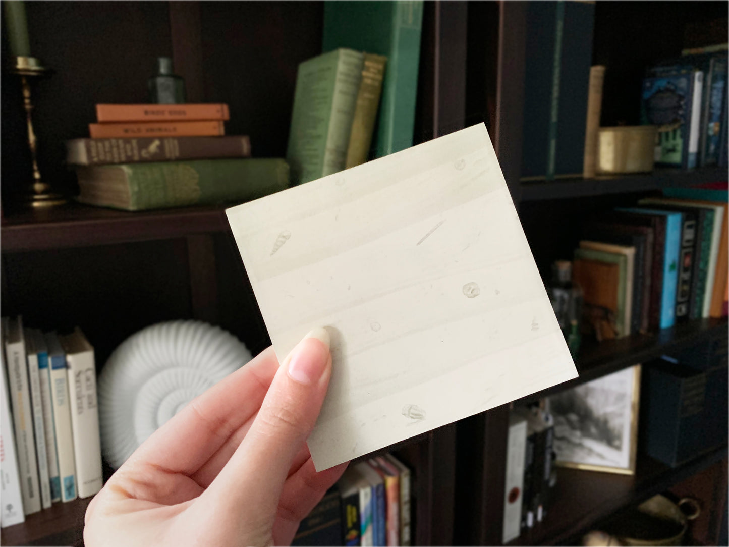 Fossil Rock Notepad