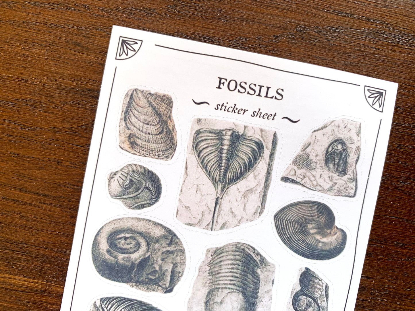 Fossils Sticker Sheet