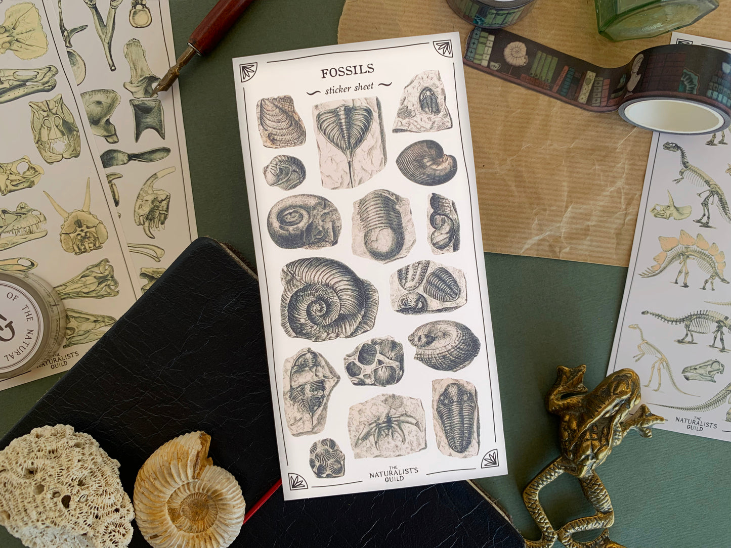 Fossils Sticker Sheet