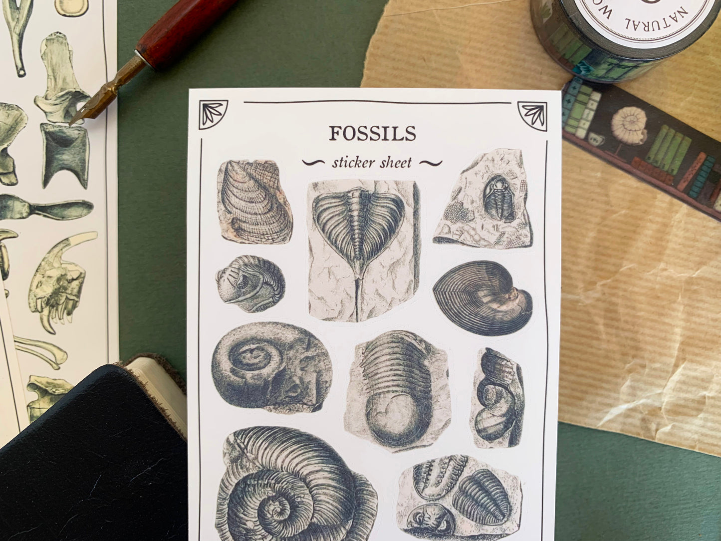 Fossils Sticker Sheet