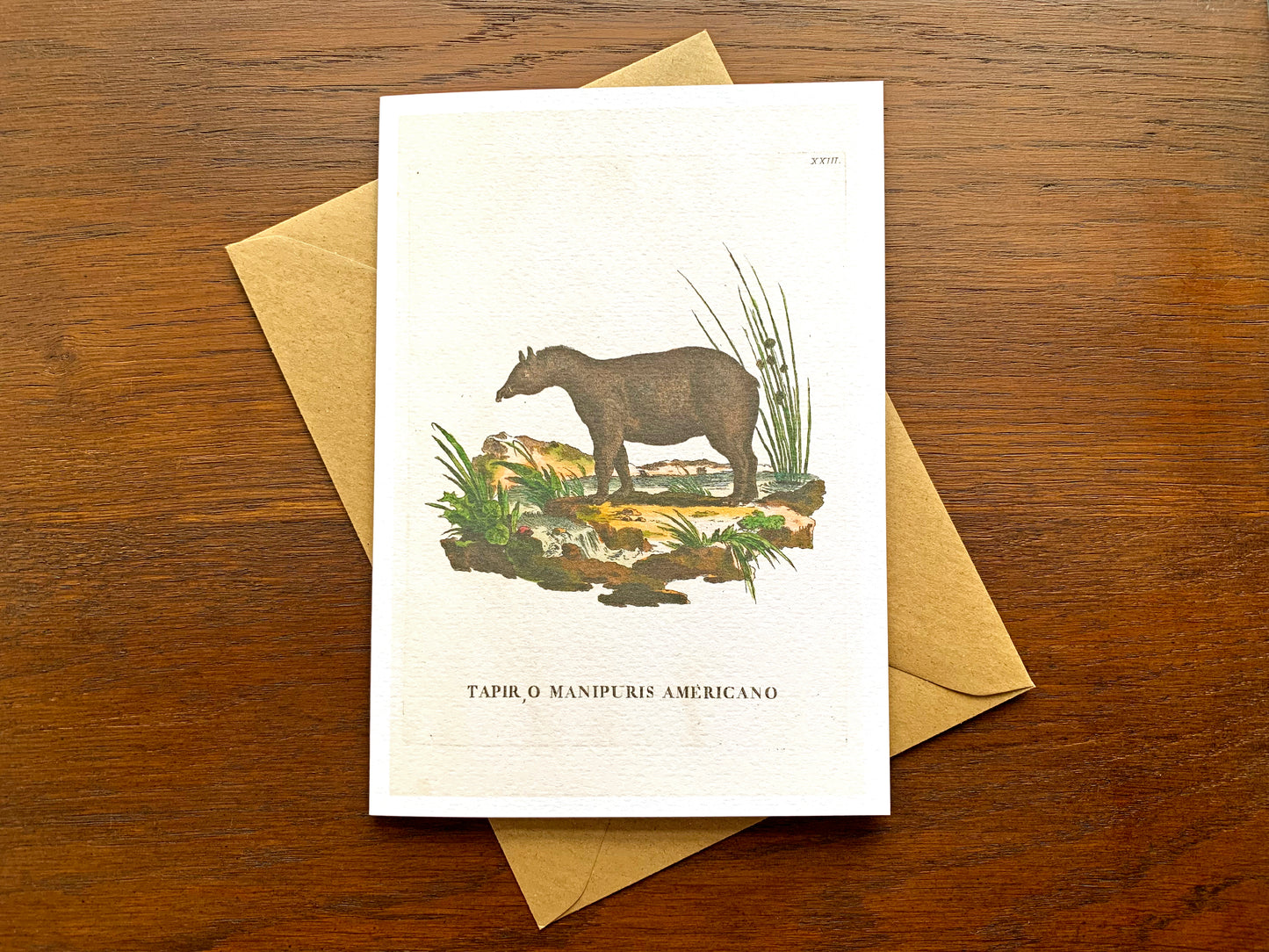 Tapir Vintage Illustration Greetings Card