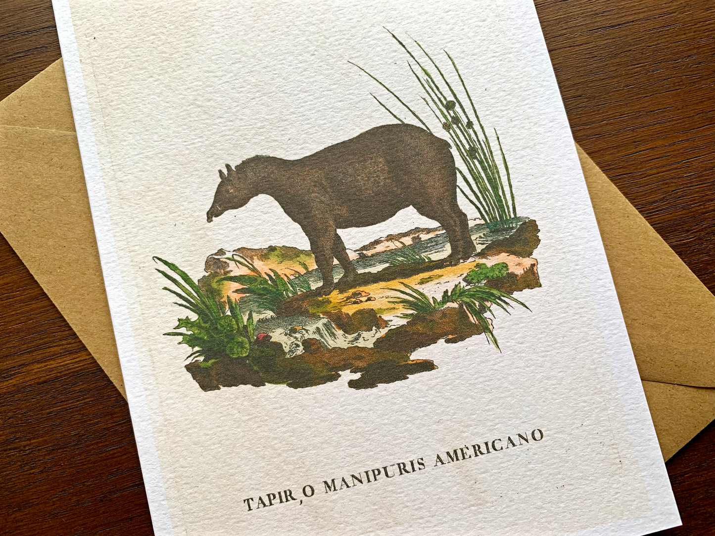 Tapir Vintage Illustration Greetings Card