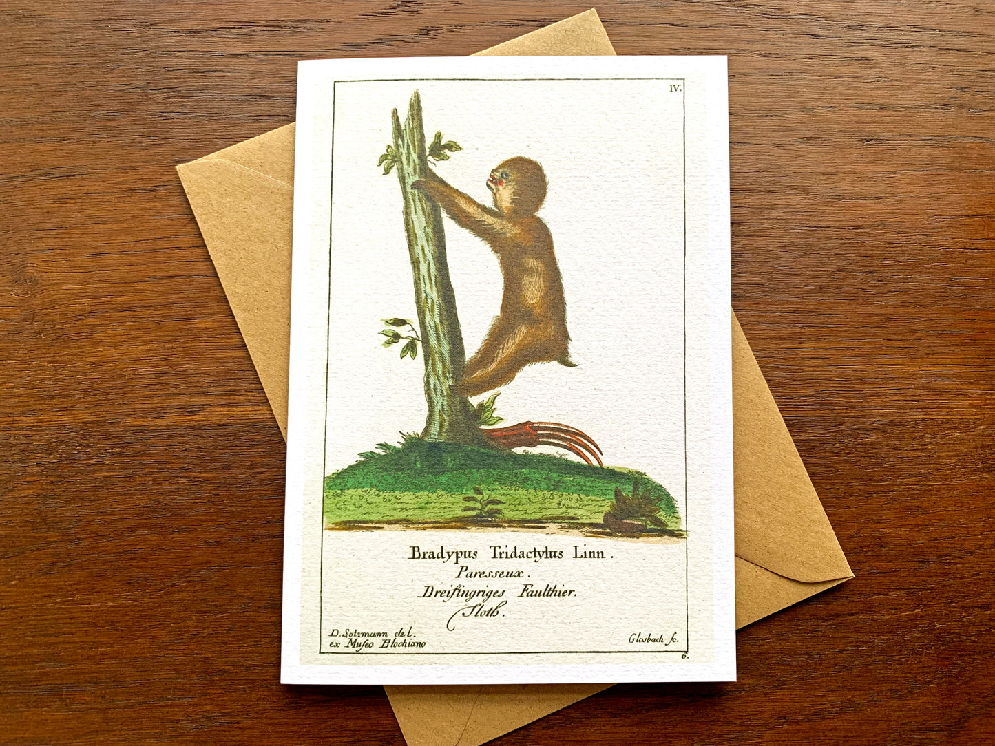 Sloth Vintage Illustration Greetings Card