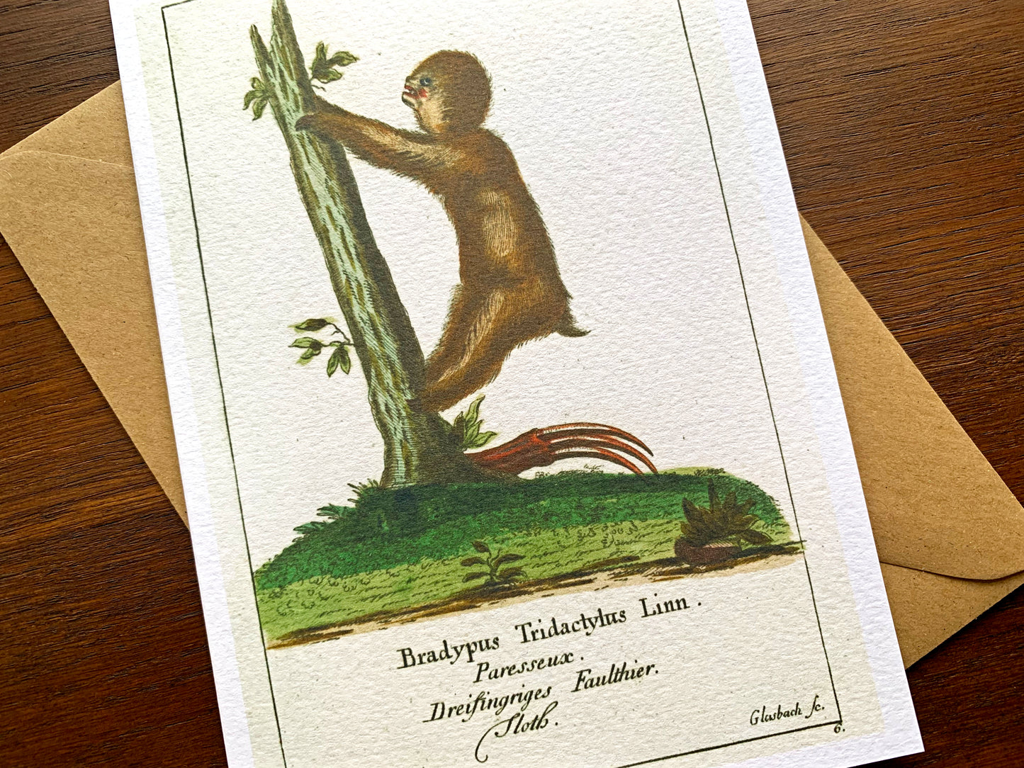 Sloth Vintage Illustration Greetings Card