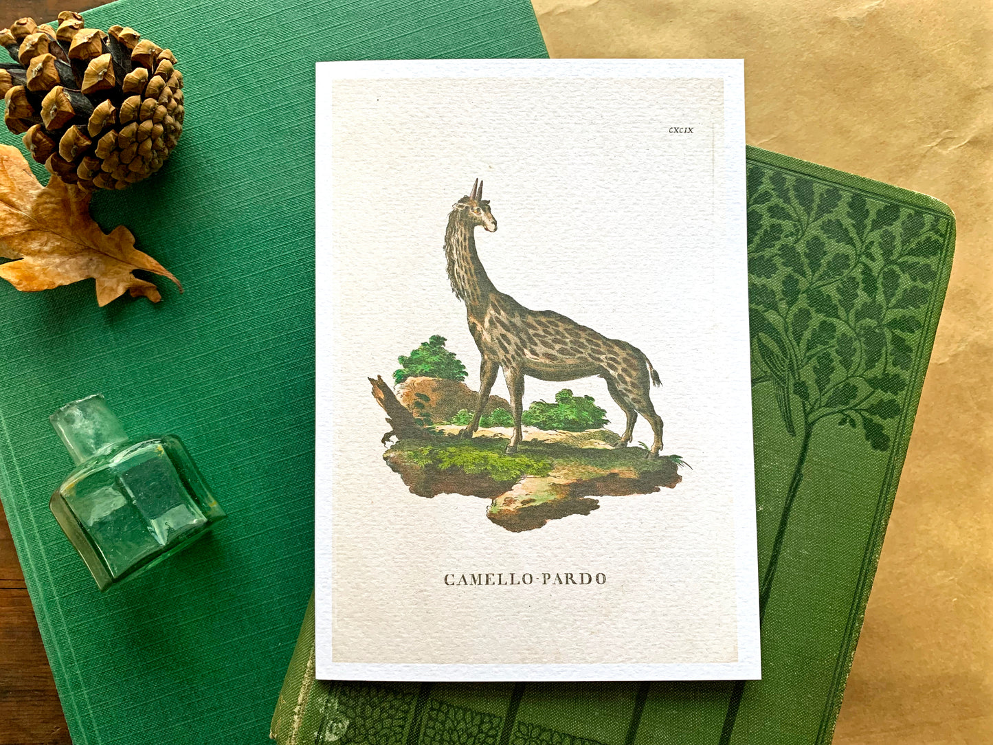 Giraffe Vintage Illustration Greetings Card