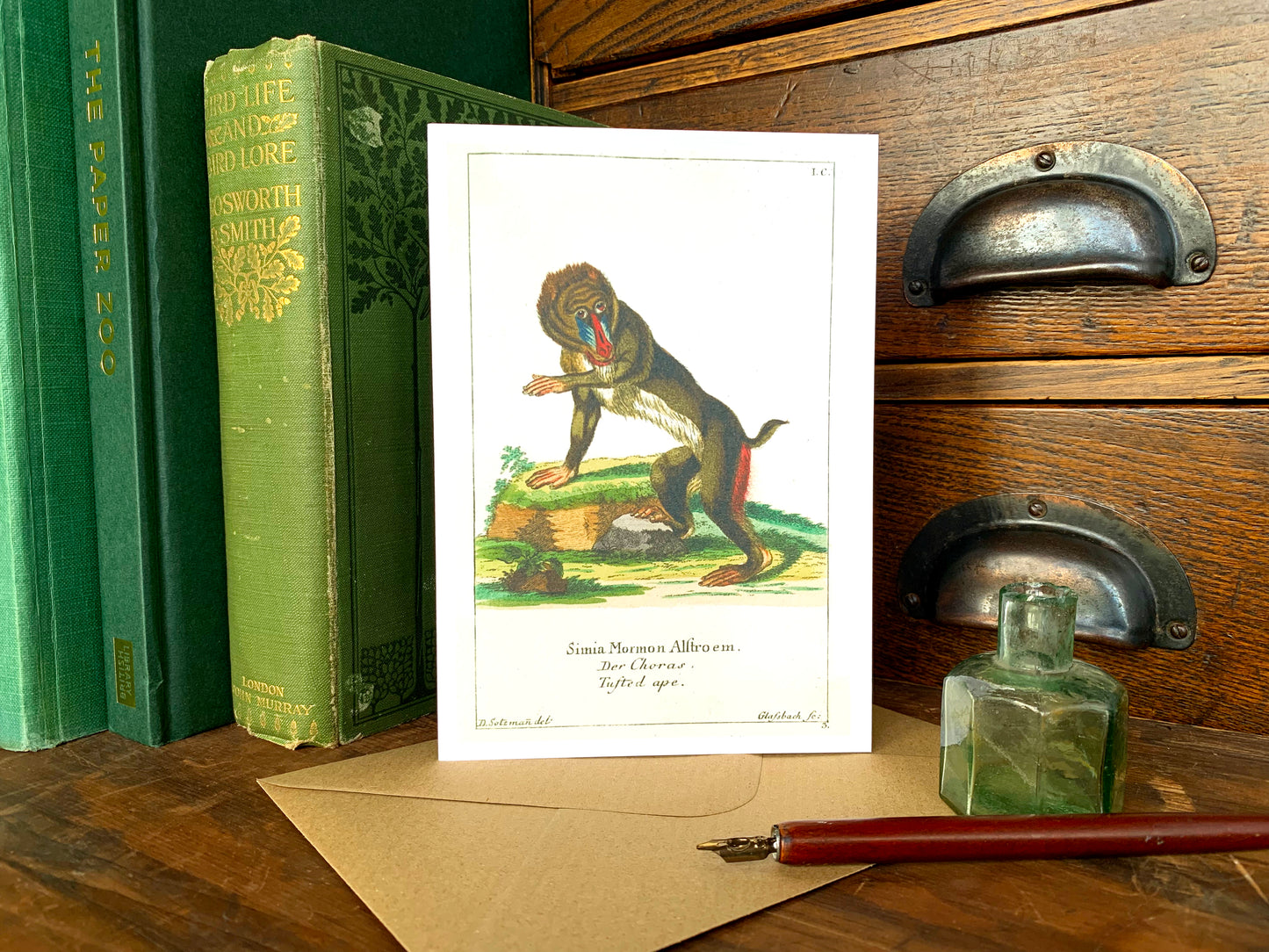 Baboon Vintage Illustrated Greetings Card