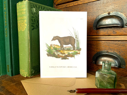 Tapir Vintage Illustration Greetings Card