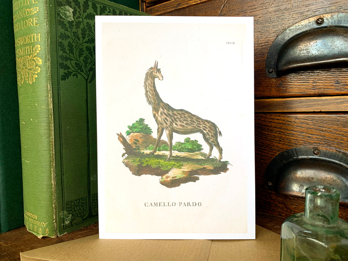 Giraffe Vintage Illustration Greetings Card