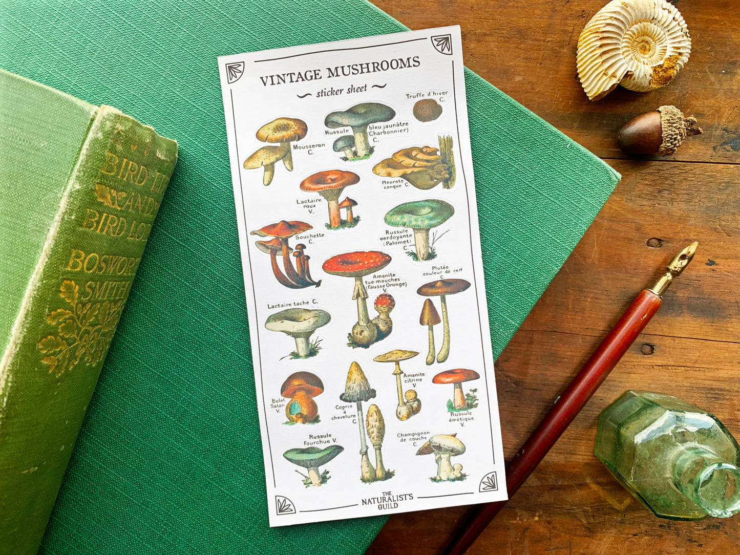 Vintage Mushroom Sticker Sheet