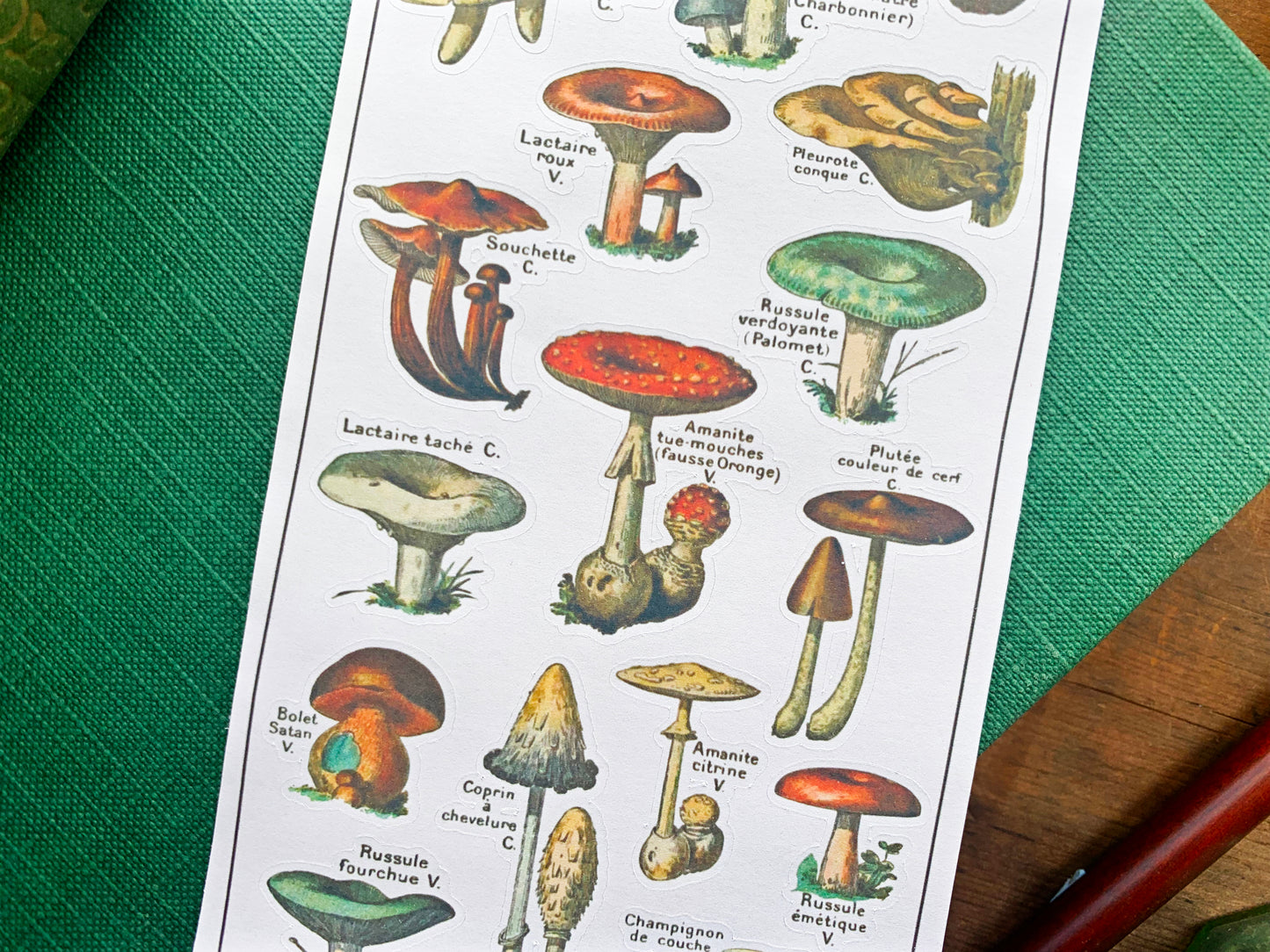 Vintage Mushroom Sticker Sheet