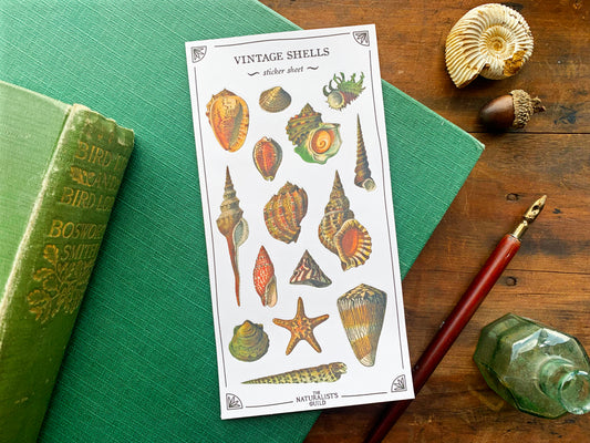 Vintage Shells Sticker Sheet