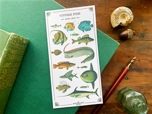 Vintage Fish Sticker Sheet