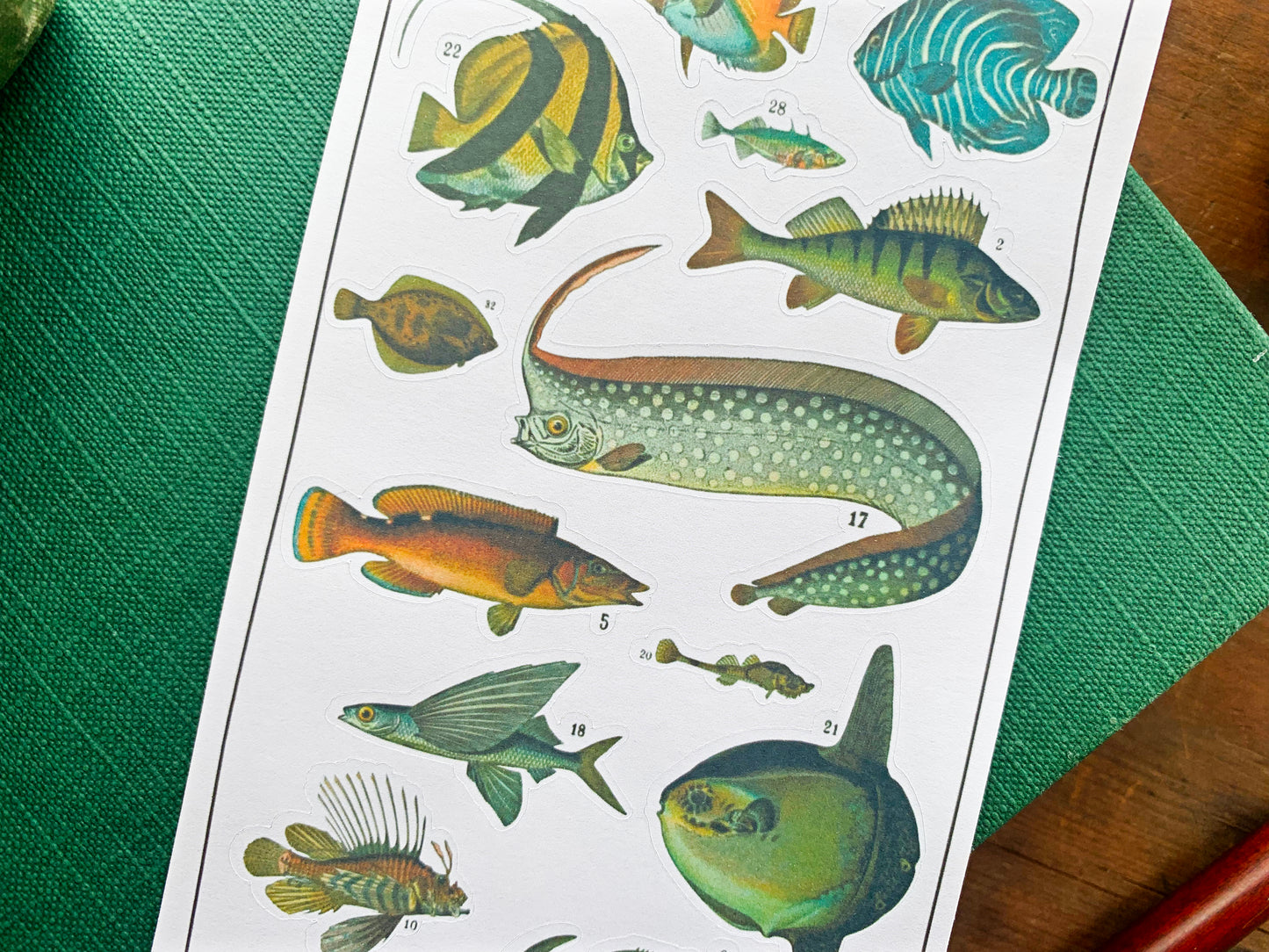 Vintage Fish Sticker Sheet