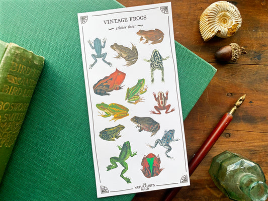 Vintage Frogs Sticker Sheet