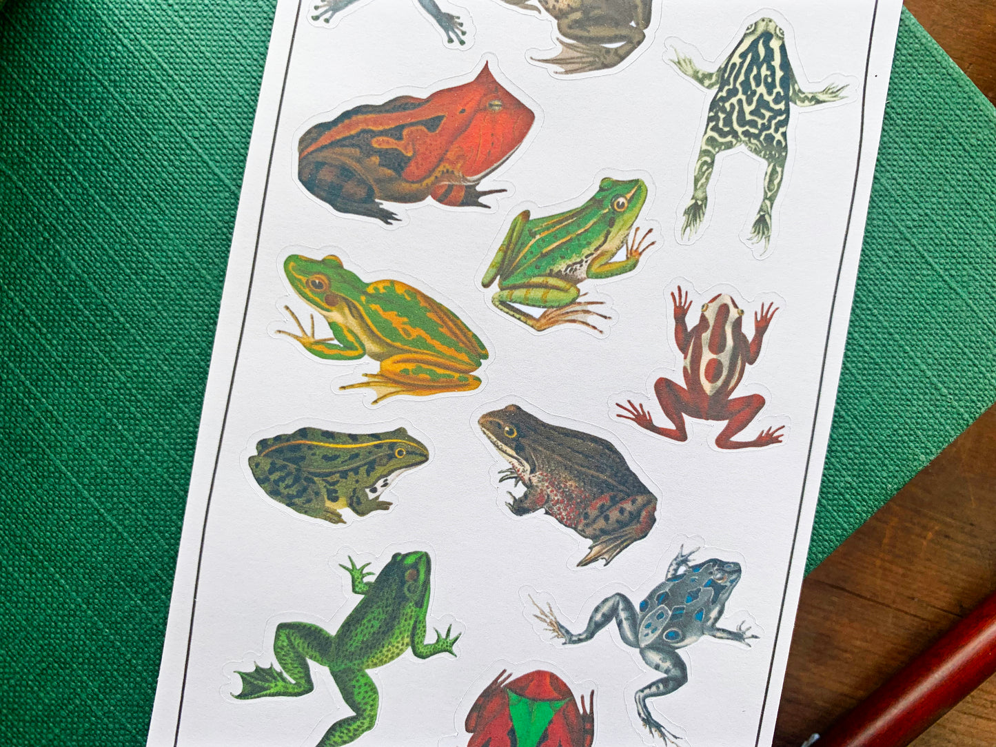 Vintage Frogs Sticker Sheet