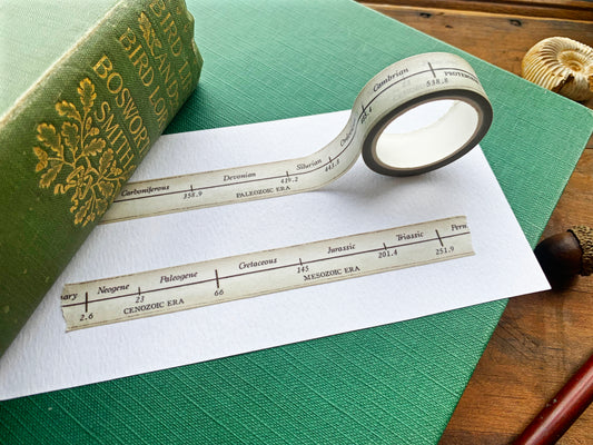 Geological Timeline Washi Tape