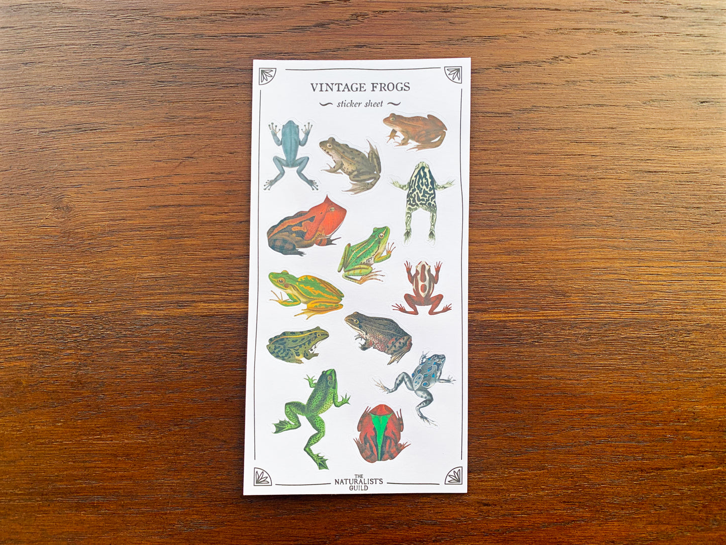 Vintage Frogs Sticker Sheet