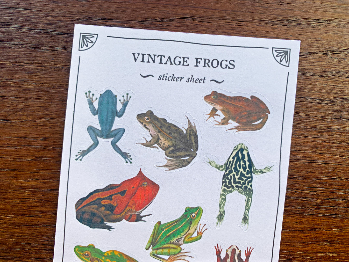 Vintage Frogs Sticker Sheet