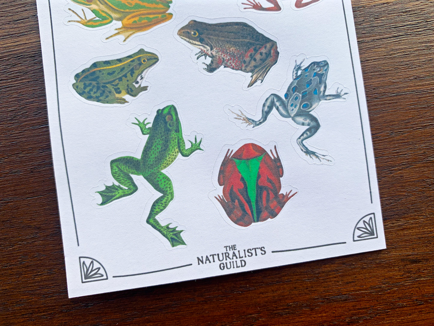 Vintage Frogs Sticker Sheet