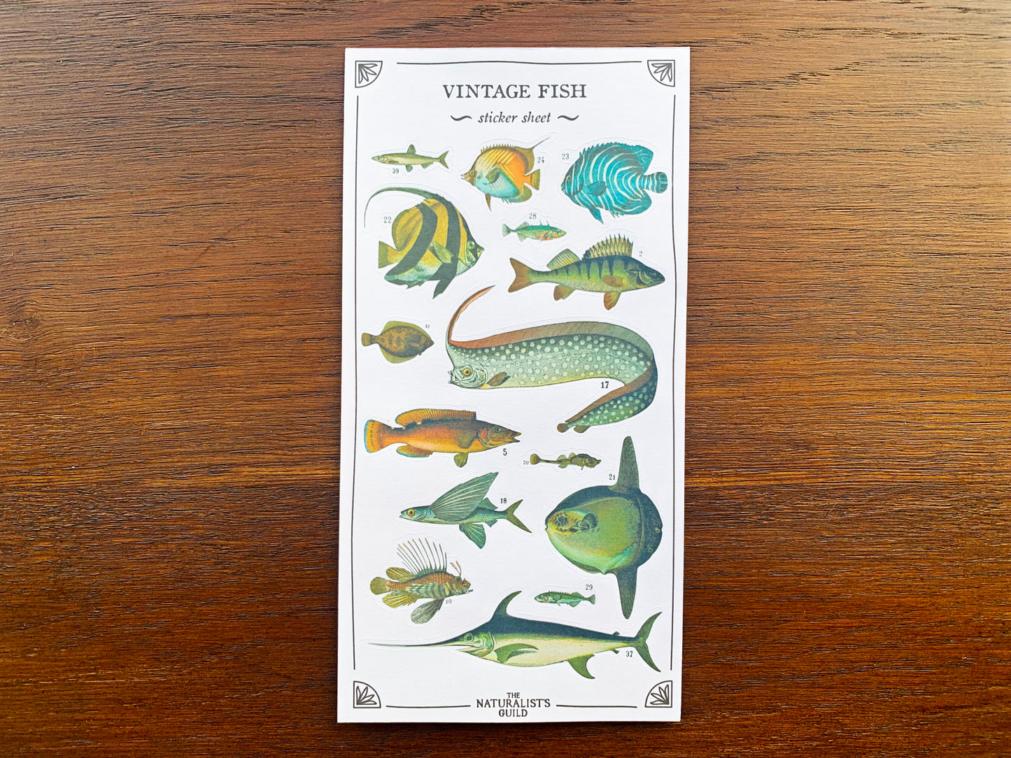 Vintage Fish Sticker Sheet