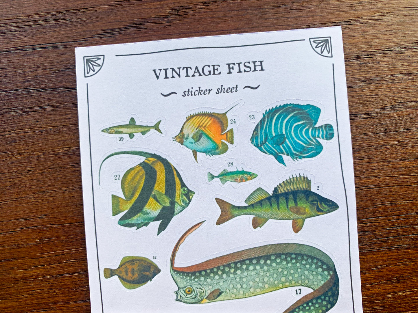 Vintage Fish Sticker Sheet