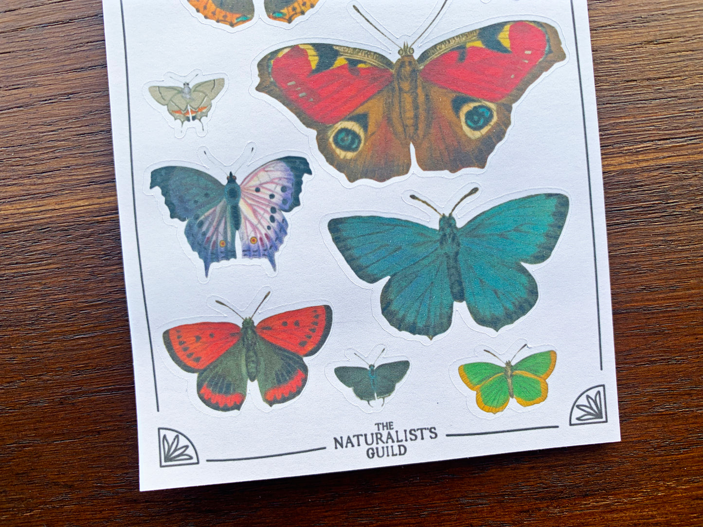 Vintage Butterfly Sticker Sheet