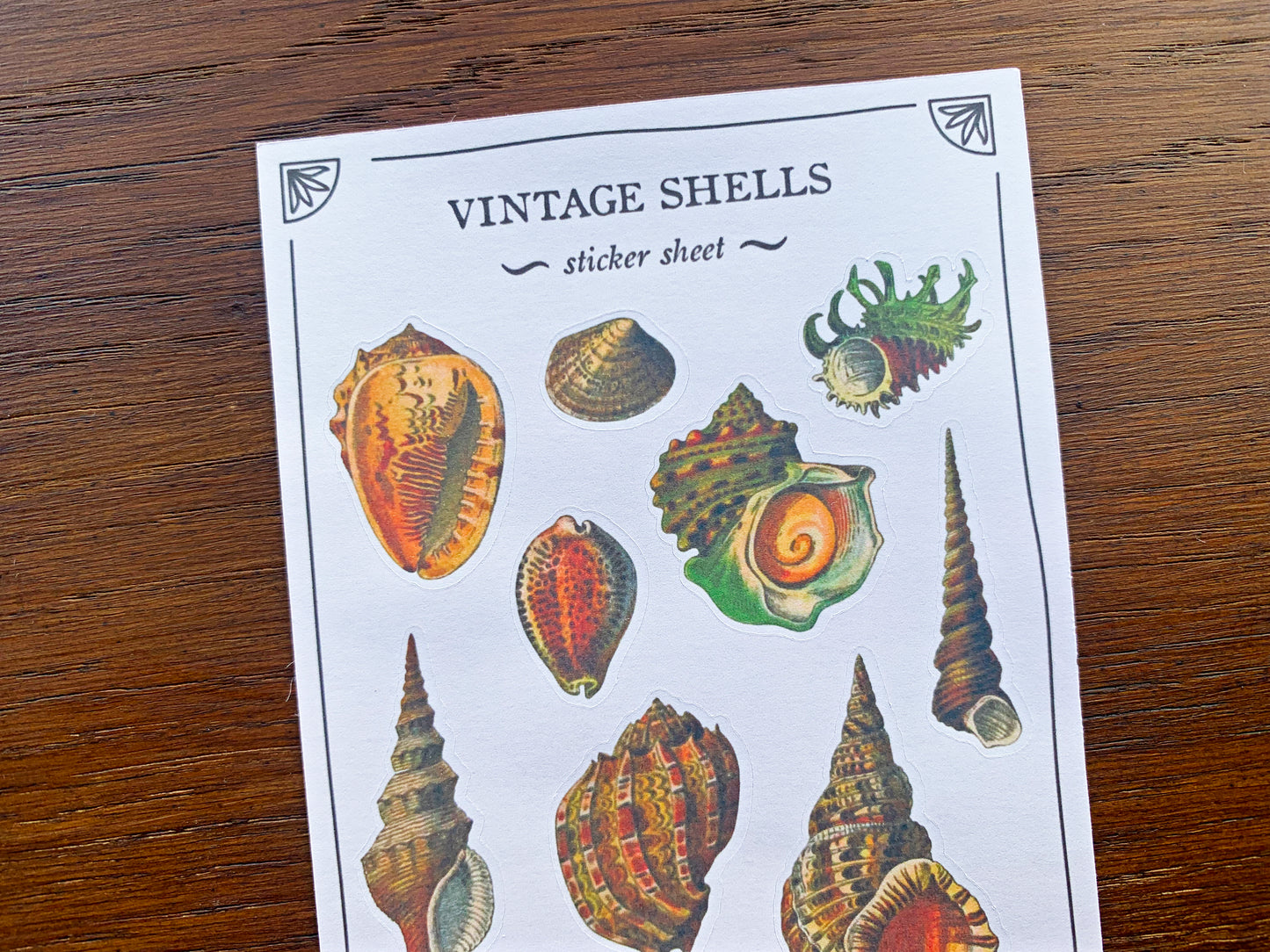 Vintage Shells Sticker Sheet