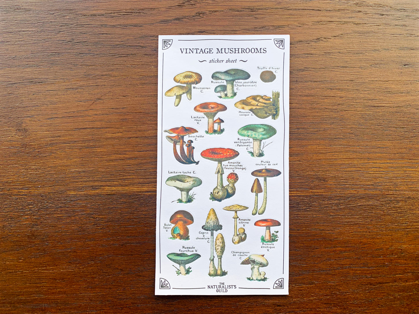 Vintage Mushroom Sticker Sheet